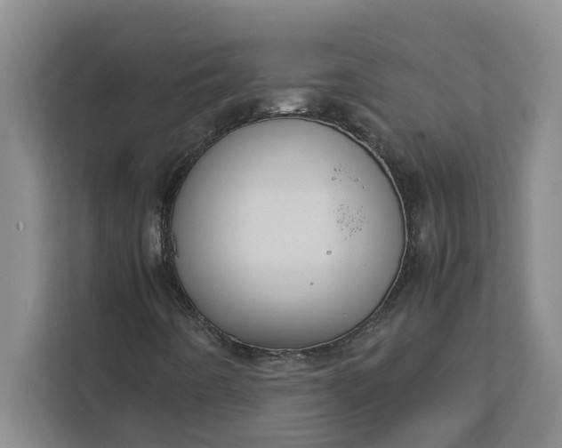 X0000111881442200908061304