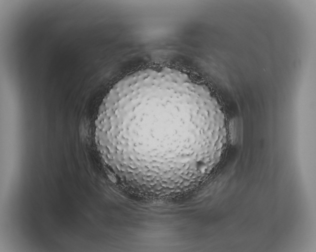 X0000111881443200908061304