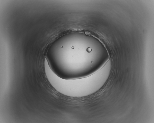 X0000111881444200908061304