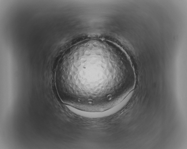 X0000111881445200908061304