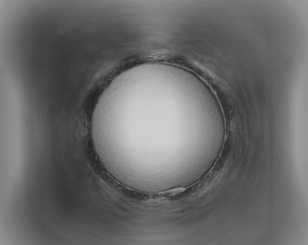 X0000111881447200908061304