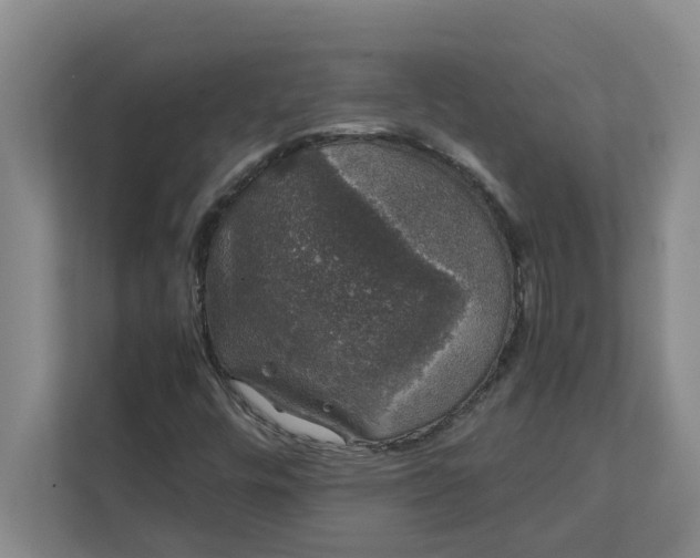 X0000111881448200908061304