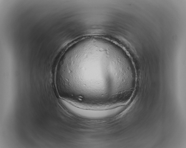 X0000111881449200908061304