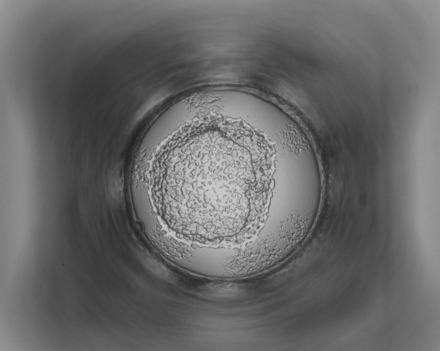 X0000111881450200908061304