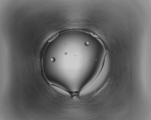 X0000111881453200908061304