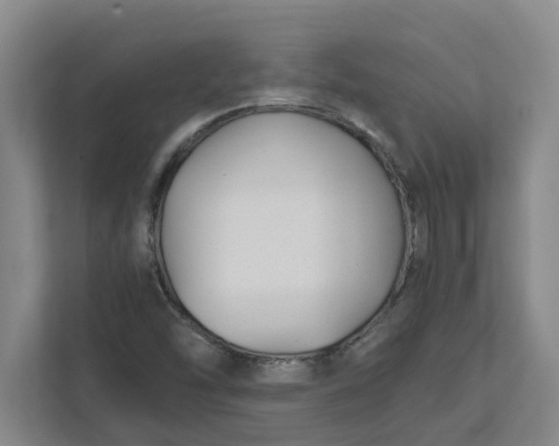 X0000111881454200908061304