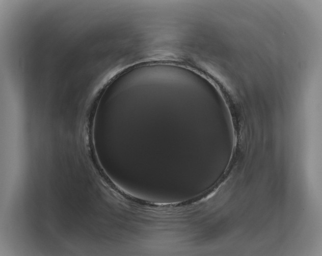 X0000111881455200908061304