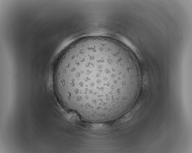 X0000111881456200908061304