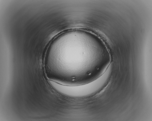 X0000111881457200908061304