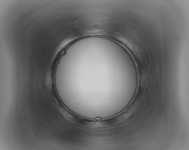 X0000111881458200908061304