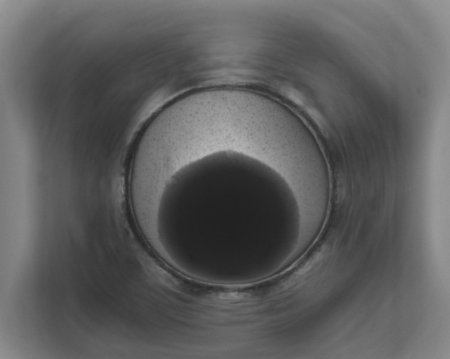 X0000111881459200908061304