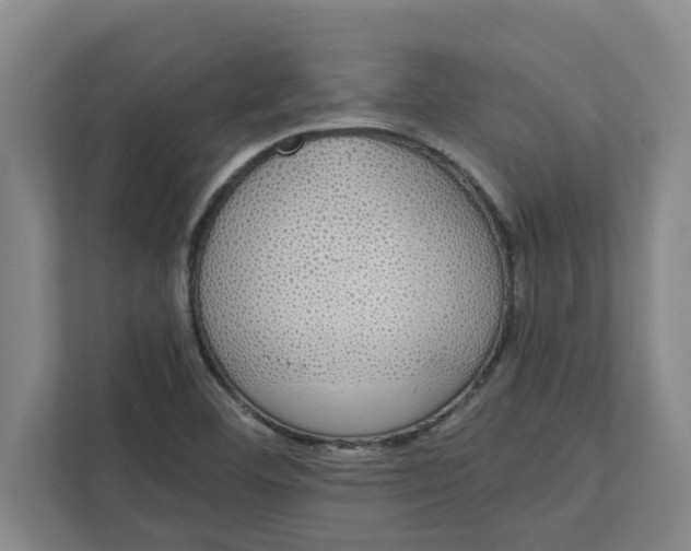 X0000111881460200908061304