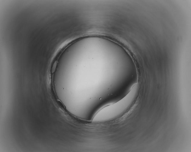 X0000111881461200908061304