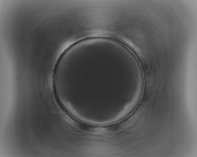 X0000111881463200908061304