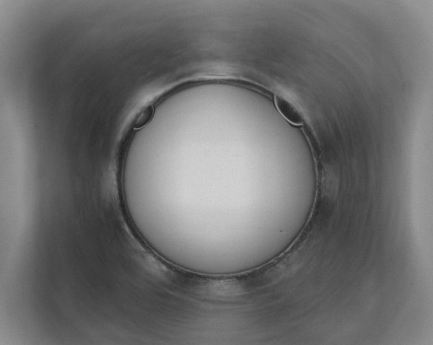 X0000111881464200908061304