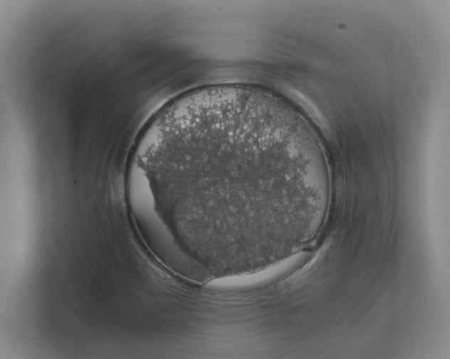 X0000111881465200908061304