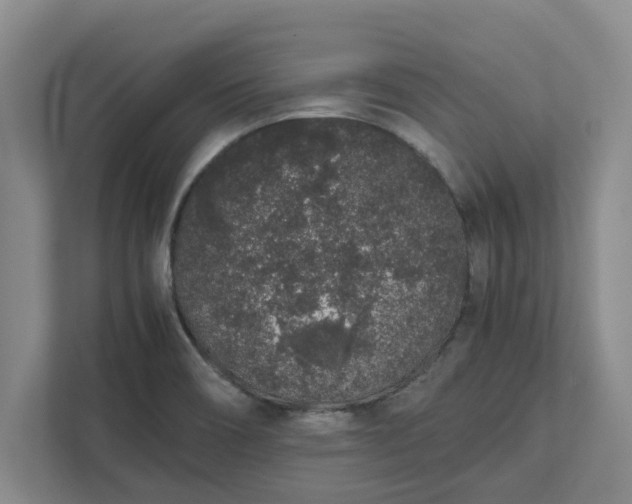 X0000111881466200908061304