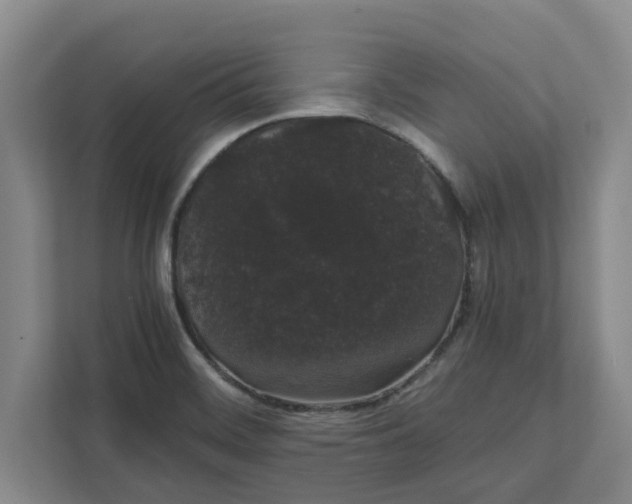 X0000111881468200908061304