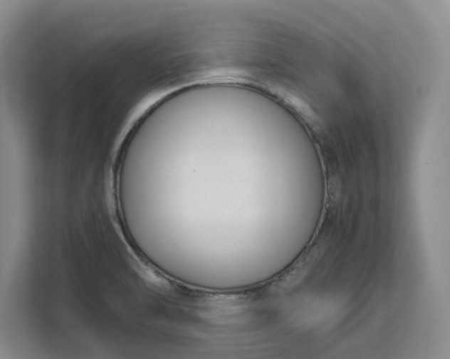 X0000111881470200908061304