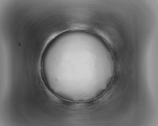 X0000111881471200908061304