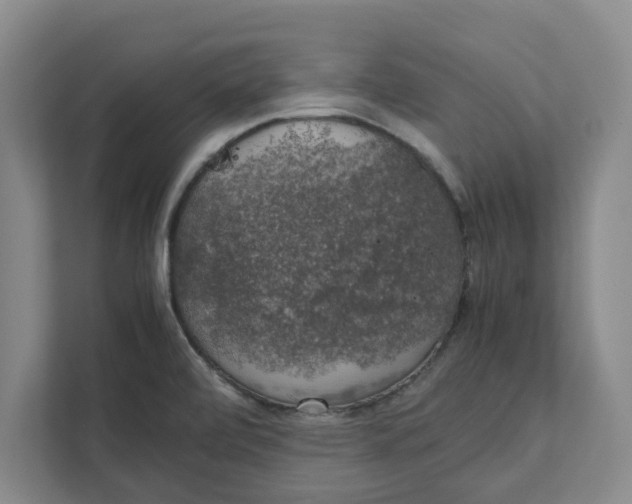 X0000111881472200908061304