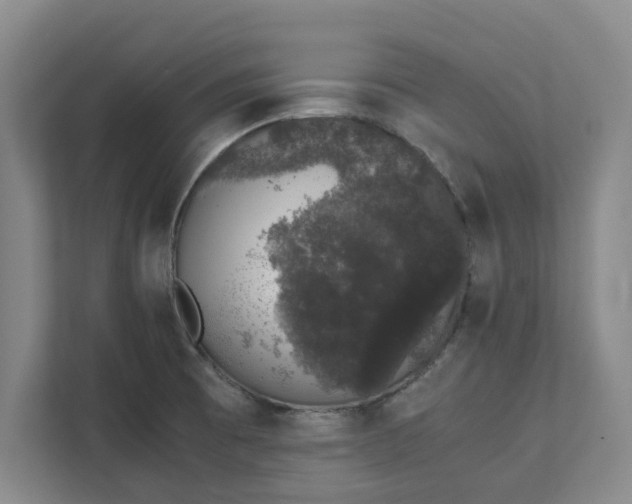 X0000111881473200908061304