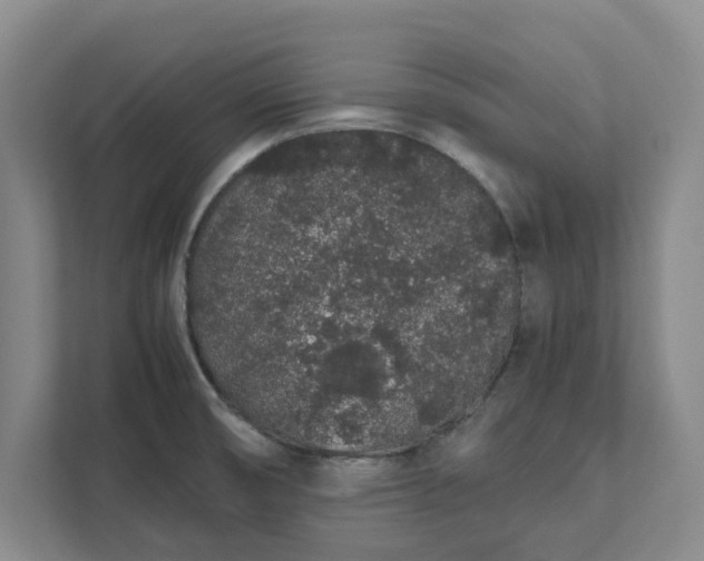 X0000111881474200908061304