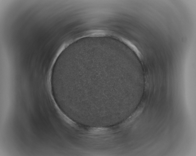 X0000111881475200908061304