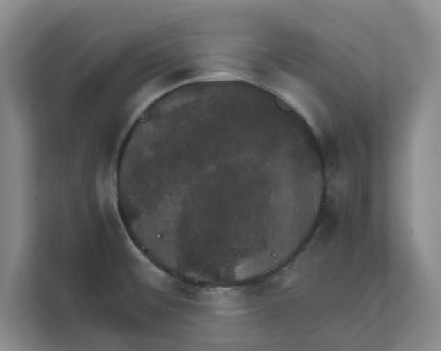 X0000111881476200908061304