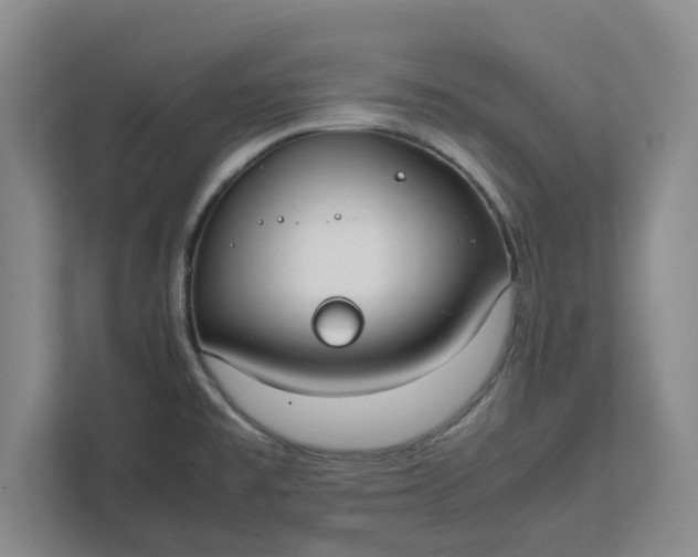 X0000111881477200908061304