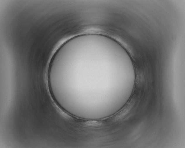 X0000111881478200908061304