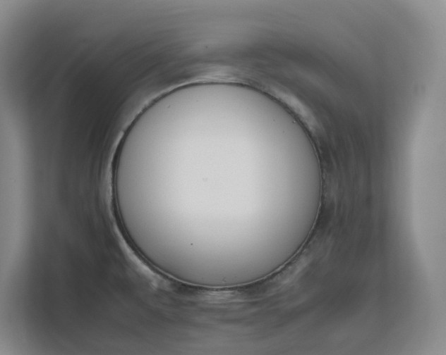 X0000111881479200908061304