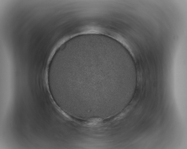 X0000111881480200908061304