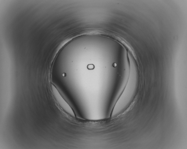 X0000111881481200908061304