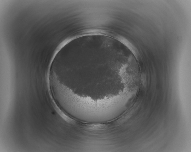 X0000111881482200908061304