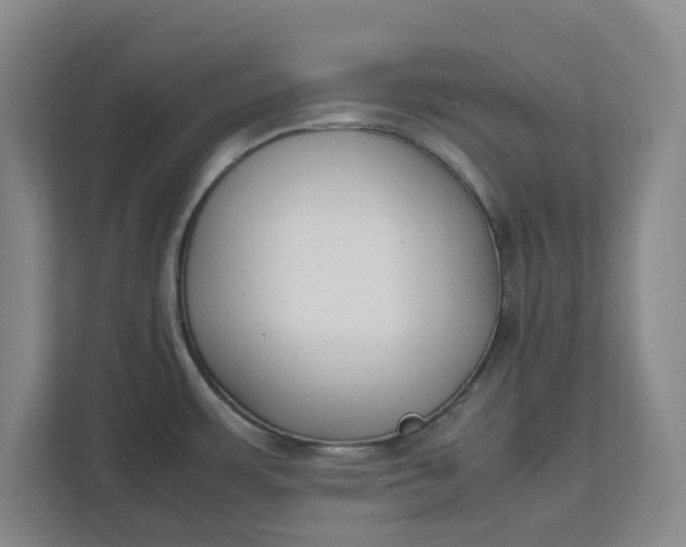 X0000111881483200908061304