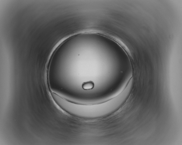 X0000111881484200908061304