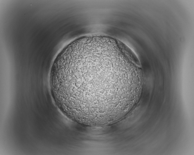 X0000111881485200908061304