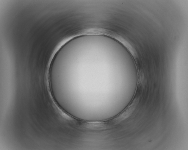 X0000111881486200908061304