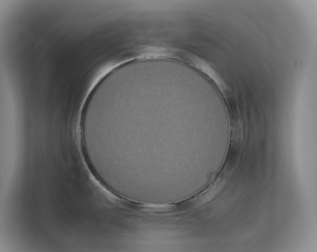 X0000111881487200908061304