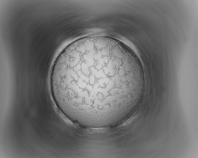 X0000111881488200908061304