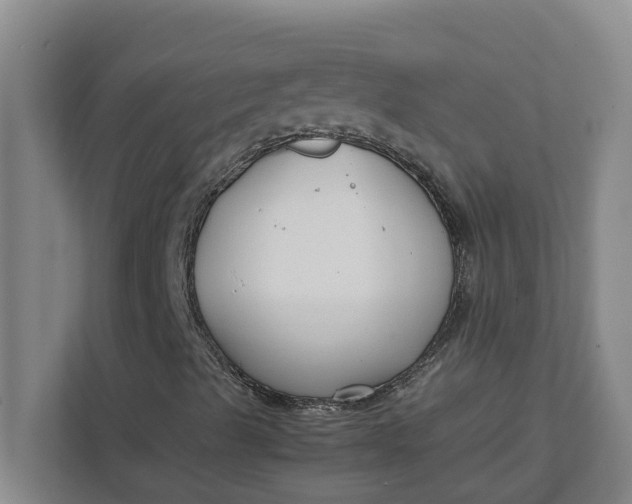 X0000111881489200908061303