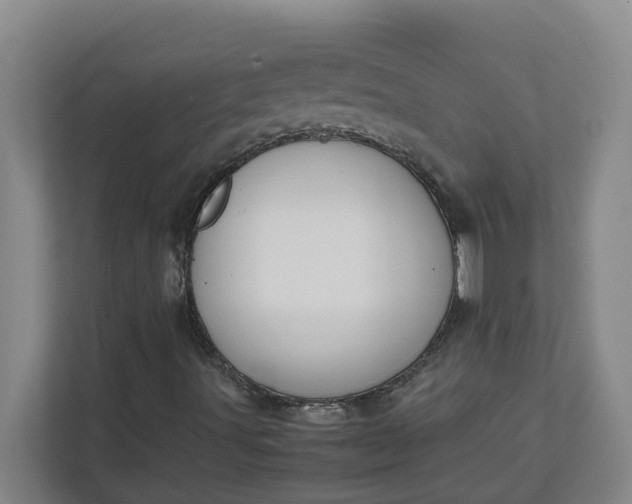 X0000111881491200908061303