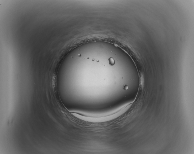 X0000111881492200908061303