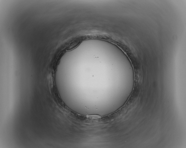 X0000111881493200908061303