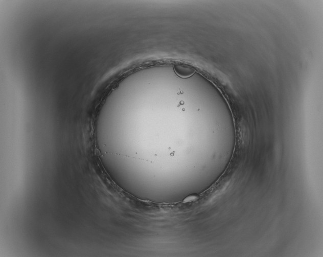 X0000111881494200908061303