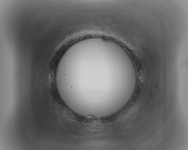 X0000111881495200908061303