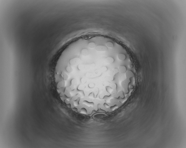 X0000111881496200908061303