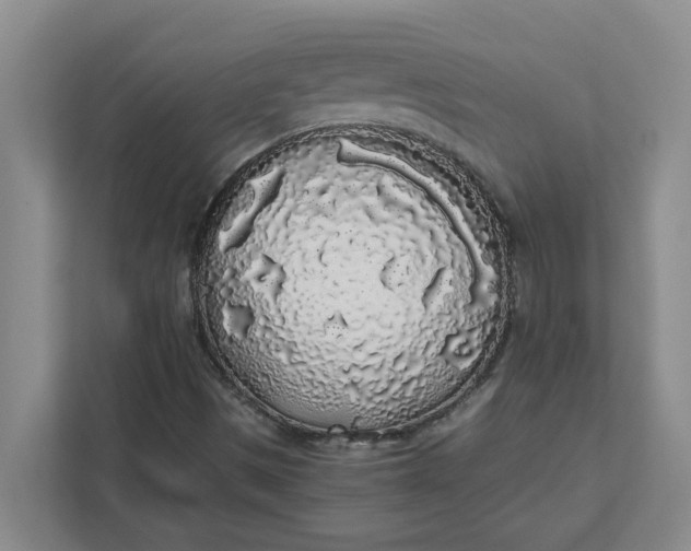 X0000111881497200908061303