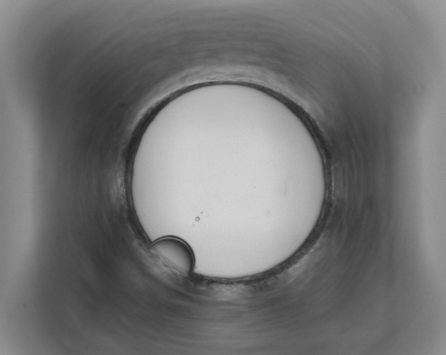 X0000111881498200908061303